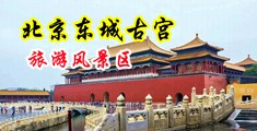 美女插屄视频。中国北京-东城古宫旅游风景区